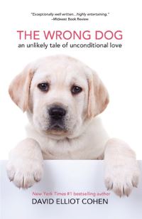 Book Cover for The Wrong Dog by David Cohen