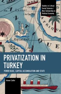 Book Cover for Privatization in Turkey by Ahmet Zaifer