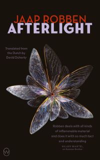 Book Cover for Afterlight by Jaap Robben