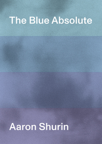 Book Cover for The Blue Absolute by Aaron Shurin