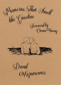 Book Cover for Memories That Smell Like Gasoline by David Wojnarowicz