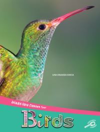 Book Cover for Birds. Grades 1-3 by Lisa Colozza Cocca