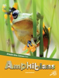 Book Cover for Amphibians. Grades 1-3 by Jodie Mangor