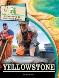 Book Cover for Yellowstone by Robin Koontz