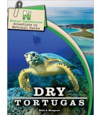 Book Cover for Dry Tortugas by Ruth A Musgrave