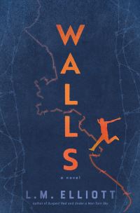 Book Cover for Walls by Laura Elliott, Megan Behm