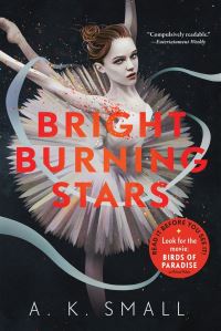 Book Cover for Bright Burning Stars by A K Small