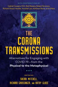 Book Cover for The Corona Transmissions by Sherri  L Mitchell, Richard Grossinger, Kathy L Glass