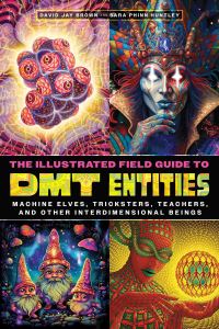 Book Cover for The Illustrated Field Guide to DMT Entities by David Jay Brown