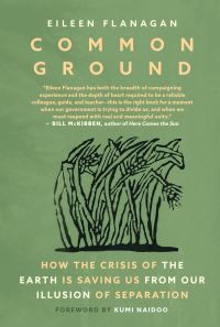 Book Cover for Common Ground by Eileen Flanagan