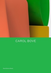 Book Cover for Carol Bove by Johanna Burton