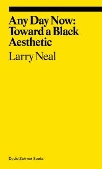Book Cover for Any Day Now by Larry Neal