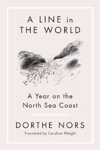 Book Cover for A Line in the World by Dorthe Nors