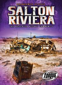 Book Cover for Salton Riviera by Lisa Owings