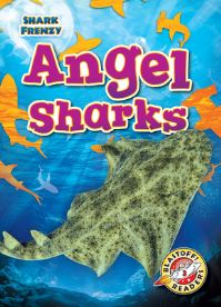 Book Cover for Angel Sharks by Rebecca Pettiford