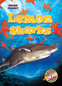 Book Cover for Lemon Sharks by Rebecca Pettiford