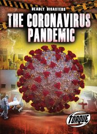 Book Cover for The Coronavirus Pandemic by Nathan Sommer