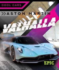 Book Cover for Aston Martin Valhalla by Nathan Sommer