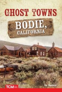 Book Cover for Ghost Towns by Ben Nussbaum