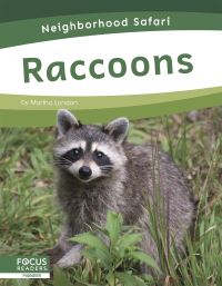 Book Cover for Raccoons by Martha London