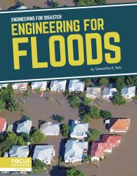Book Cover for Engineering for Floods by Samantha Bell