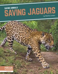Book Cover for Saving Jaguars by Martha London