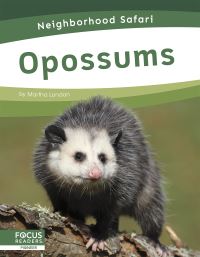 Book Cover for Opossums by Martha London