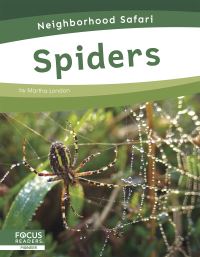 Book Cover for Spiders by Martha London