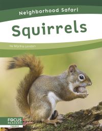 Book Cover for Squirrels by Martha London