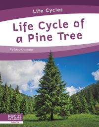 Book Cover for Life Cycle of a Pine Tree by Meg Gaertner