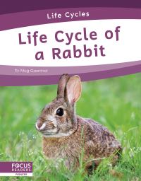 Book Cover for Life Cycle of a Rabbit by Meg Gaertner