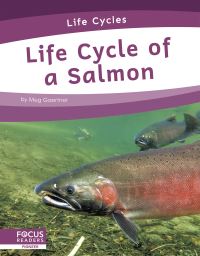Book Cover for Life Cycle of a Salmon by Meg Gaertner