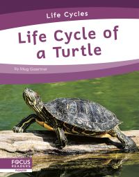 Book Cover for Life Cycle of a Turtle by Meg Gaertner