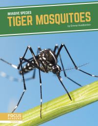 Book Cover for Tiger Mosquitoes by Emma Huddleston
