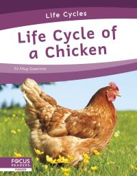 Book Cover for Life Cycle of a Chicken by Meg Gaertner
