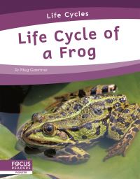 Book Cover for Life Cycle of a Frog by Meg Gaertner