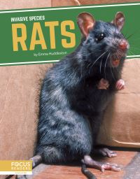 Book Cover for Rats by Emma Huddleston
