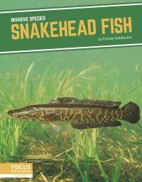 Book Cover for Snakehead Fish by Emma Huddleston