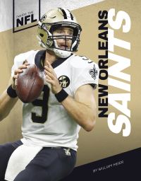 Book Cover for New Orleans Saints by William Meier