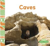 Book Cover for Caves by Julie Murray