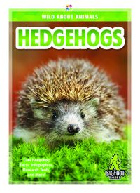 Book Cover for Hedgehogs by Emma Huddleston