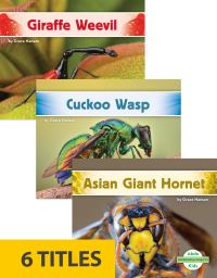 Book Cover for Incredible Insects by Grace Hansen