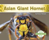 Book Cover for Asian Giant Hornet by Grace Hansen