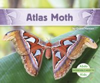 Book Cover for Atlas Moth by Grace Hansen