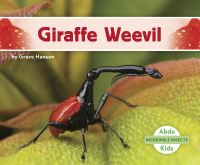 Book Cover for Giraffe Weevil by Grace Hansen