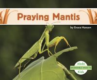 Book Cover for Praying Mantis by Grace Hansen