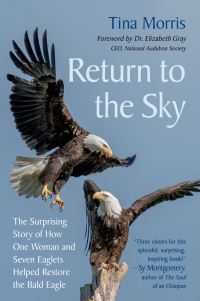 Book Cover for Return to the Sky by Tina Morris