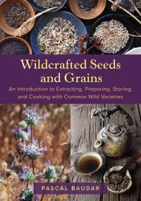 Book Cover for Wildcrafted Seeds and Grains by Pascal Baudar