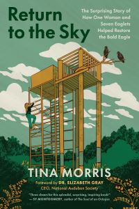 Book Cover for Return to the Sky by Tina Morris, Elizabeth Gray