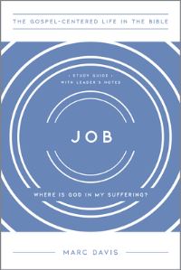 Book Cover for Job by Marc Davis